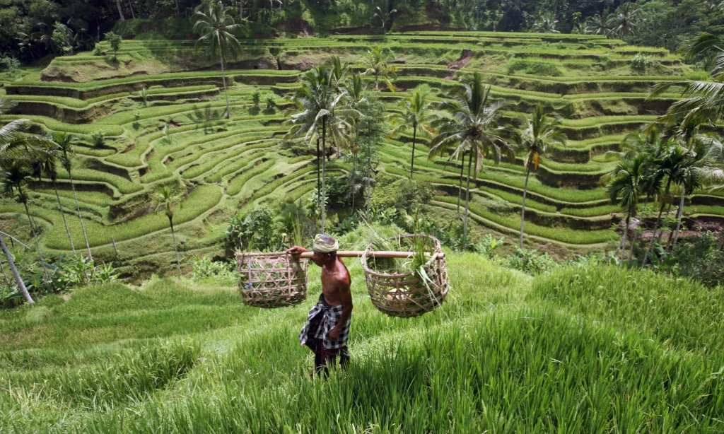 gkbengali, gkbengali kehidupan, gkbengali wisata, gkbengali games, gkbengali teknologi